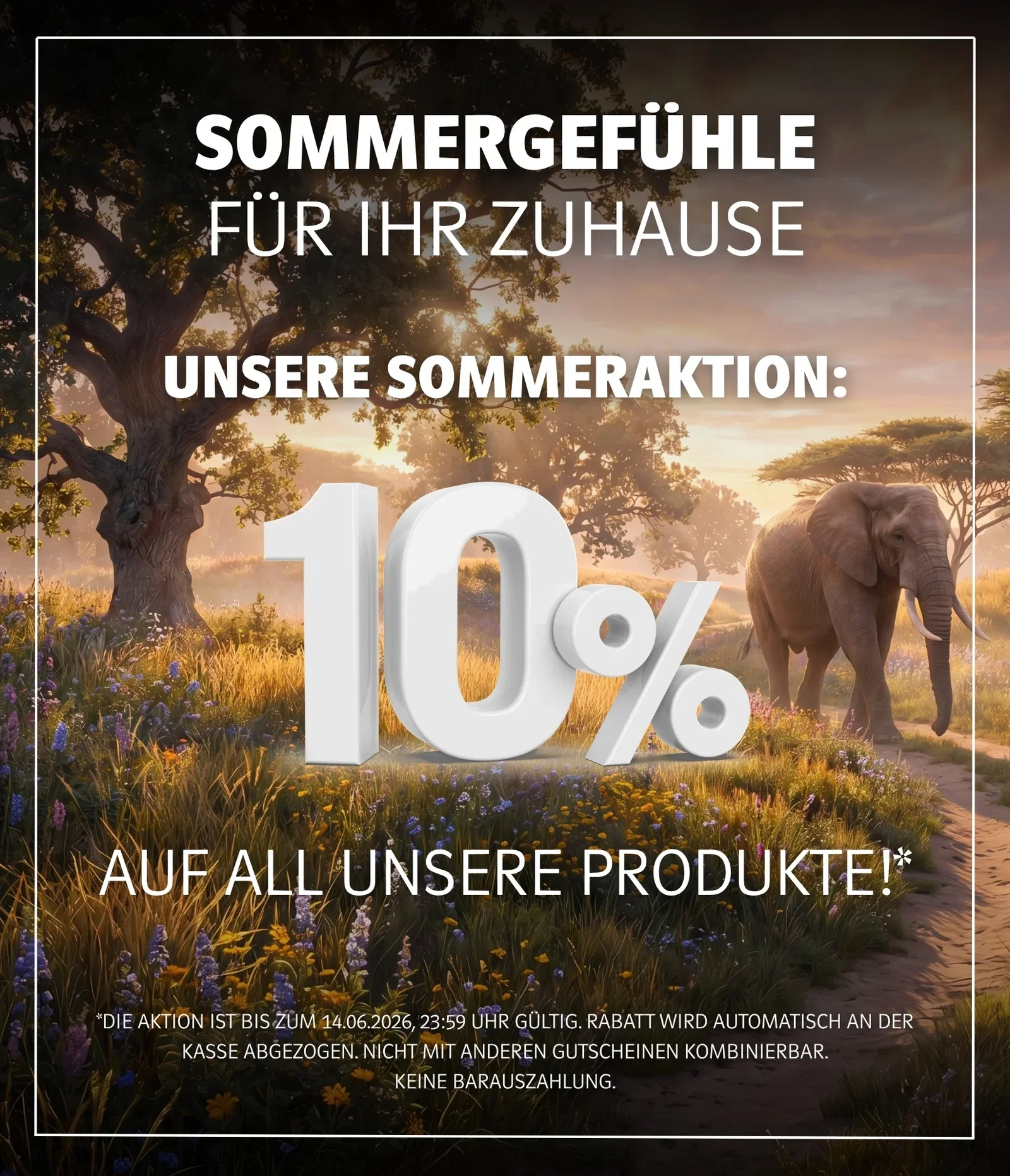 Banner zur Sommeraktion: 10 % auf alle Produkte, mit Elefant in sonniger Savannenlandschaft und warmen Naturfarben