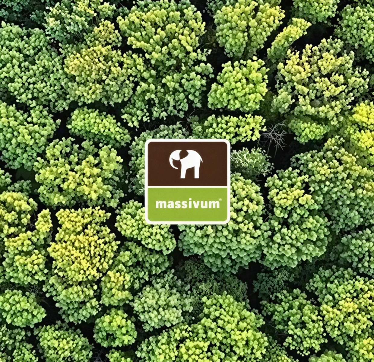 Nachhaltigkeit – Wissenswertes: grünes Banner mit Naturmotiven; umweltfreundliche Materialien und faire Produktion.