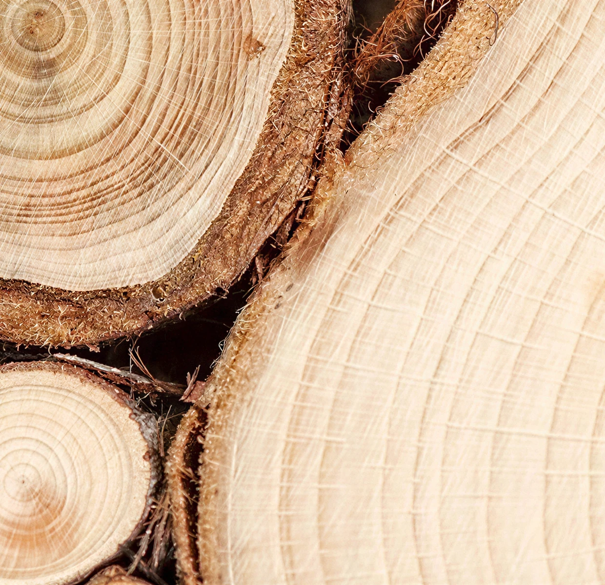 Infografik: Übersicht Holzeigenschaften – erklärt natürliche Merkmale wie Astlöcher, Risse, Maserung und Farbvariationen. Ruhiges, natürliches Design in warmen Holz- und Beigetönen, sachlich-informative Stimmung.