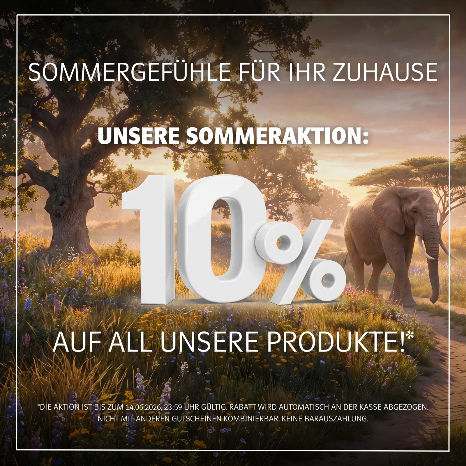 Banner zur Sommeraktion: 10 % auf alle Produkte, mit Elefant in sonniger Savannenlandschaft und warmen Naturfarben