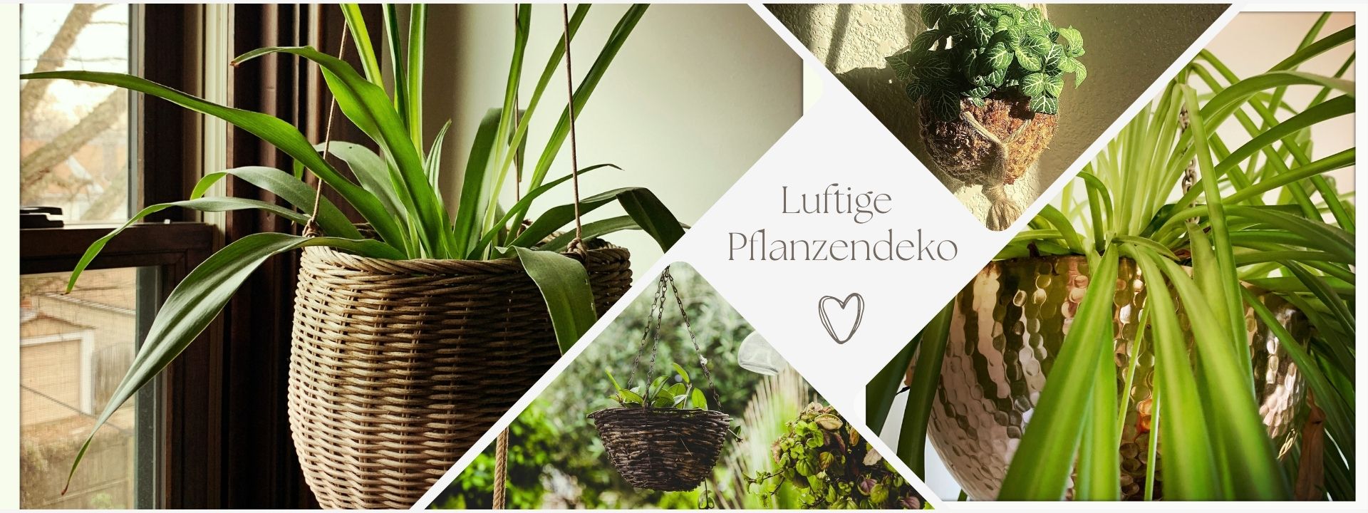 Pflanzendeko mit grünem Blumentopf auf Holztablett, moderne natürliche Tisch- und Regaldekoration für Wohnzimmer und Balkon