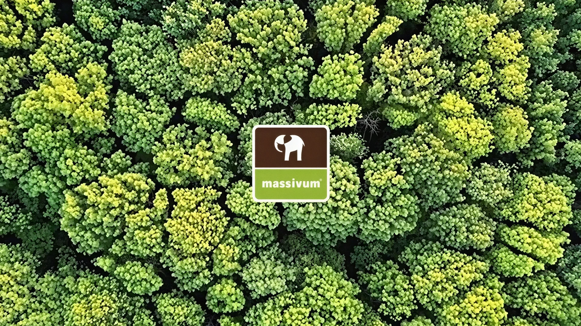 Banner für Wissenswertes – Übersicht Nachhaltigkeit. Mit massivum-Logo. Grünes Design mit Natur-Icons; freundliche, umweltbewusste Stimmung.