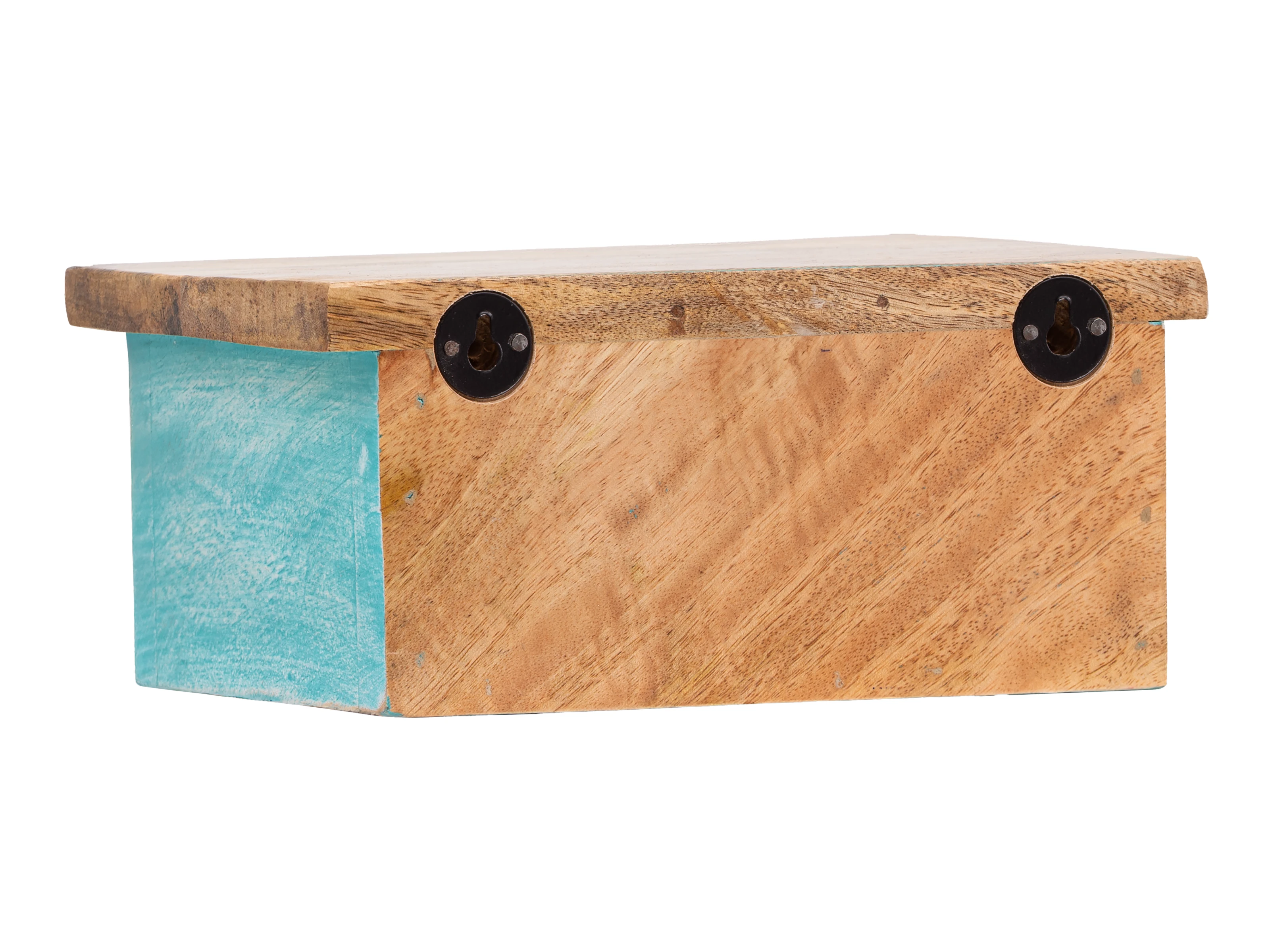 Wandboard Santa Cruz 23cm