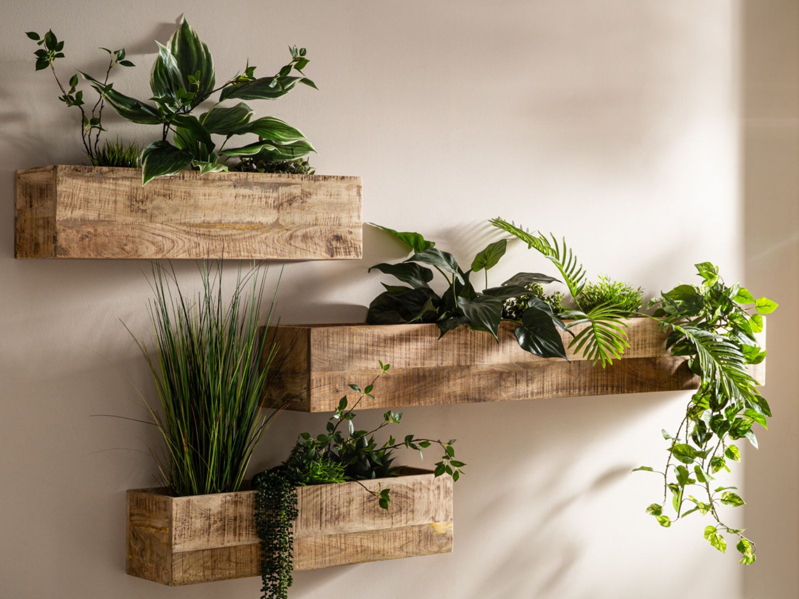 Grüne Zimmerpflanze in weißem Topf auf schlichtem Holz-Wandregal vor hellem, skandinavisch-minimalistischem Hintergrund