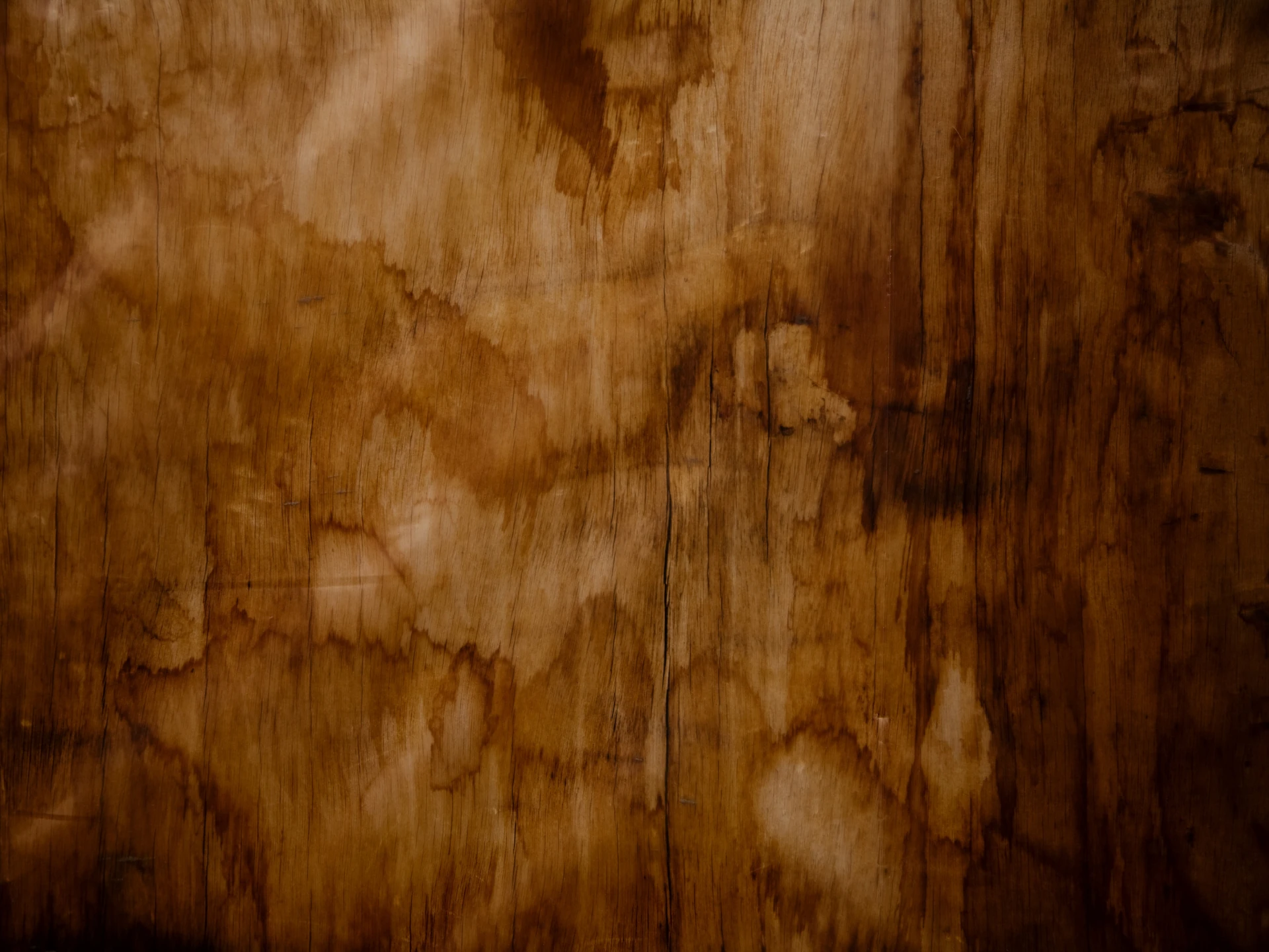 Dunkler Wasserfleck auf Holzoberfläche mit sichtbarer Maserung und feuchter Verfärbung