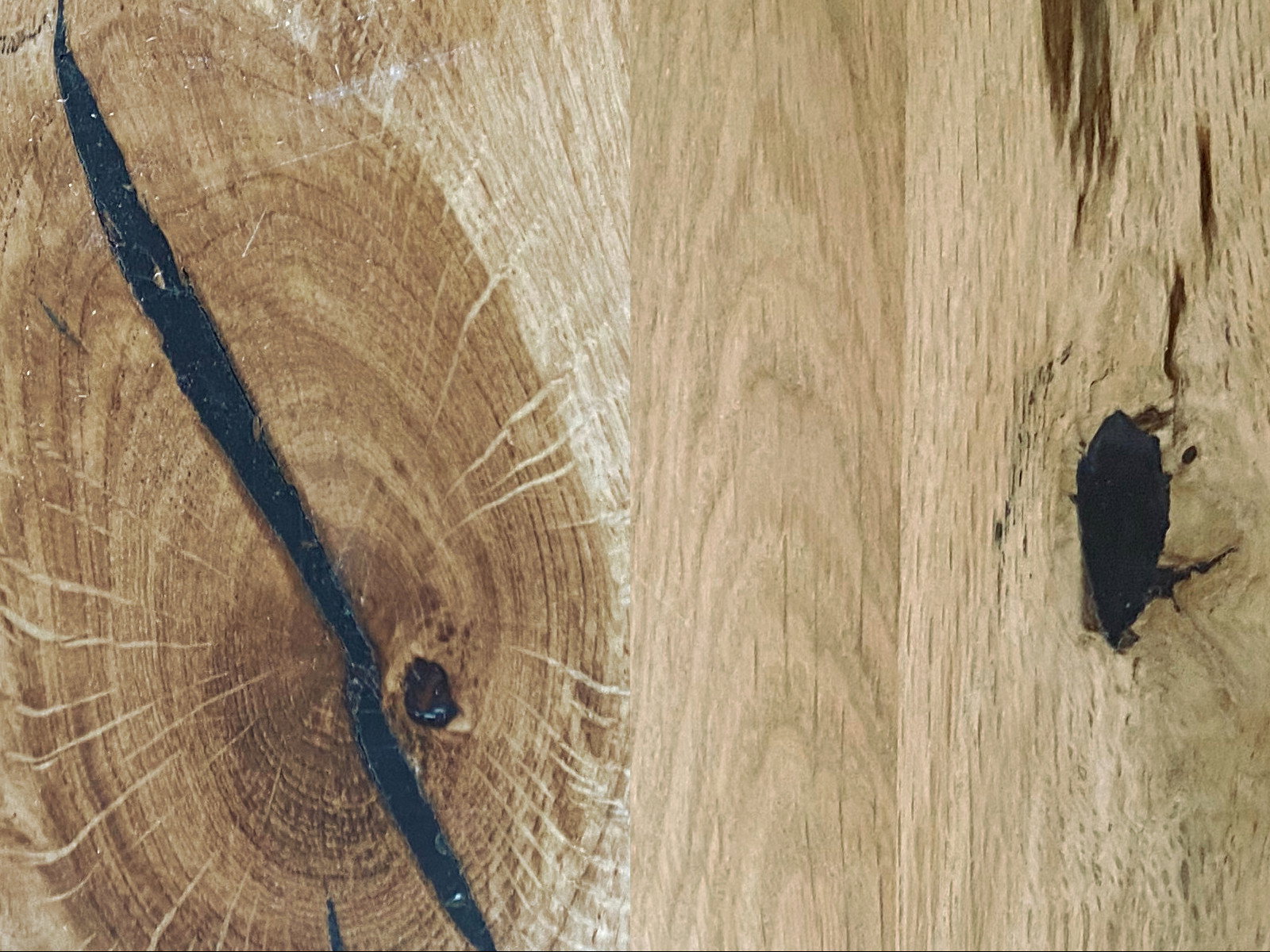 Wildeiche-Holzplatte, Nahaufnahme: rustikale Maserung in warmen Braun- und Honigtönen; naturbelassene Holzstruktur ideal für Möbel und Böden.