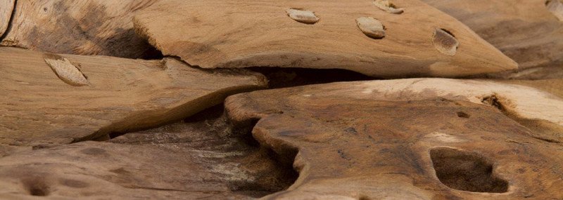 Unbehandelte Holzoberfläche mit sichtbarer Maserung und natürlichen Farbnuancen, raue Struktur für Möbel und Innenausbau