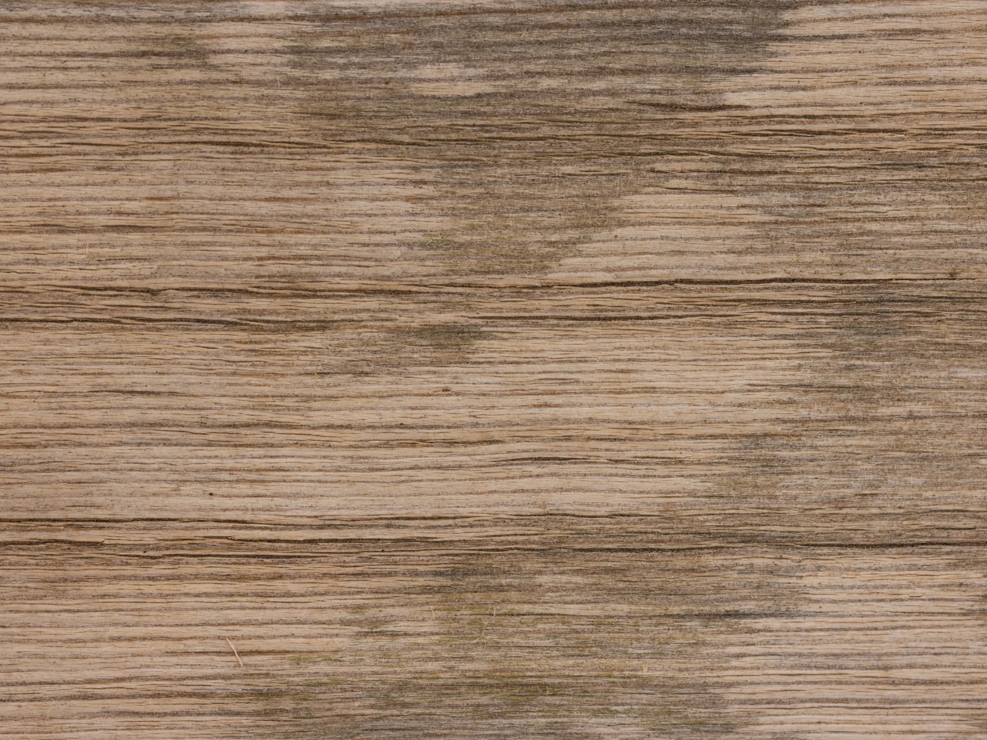 Nahaufnahme dunkler Wasserfleck auf Holzoberfläche, sichtbare Holzmaserung und Fleckenrand