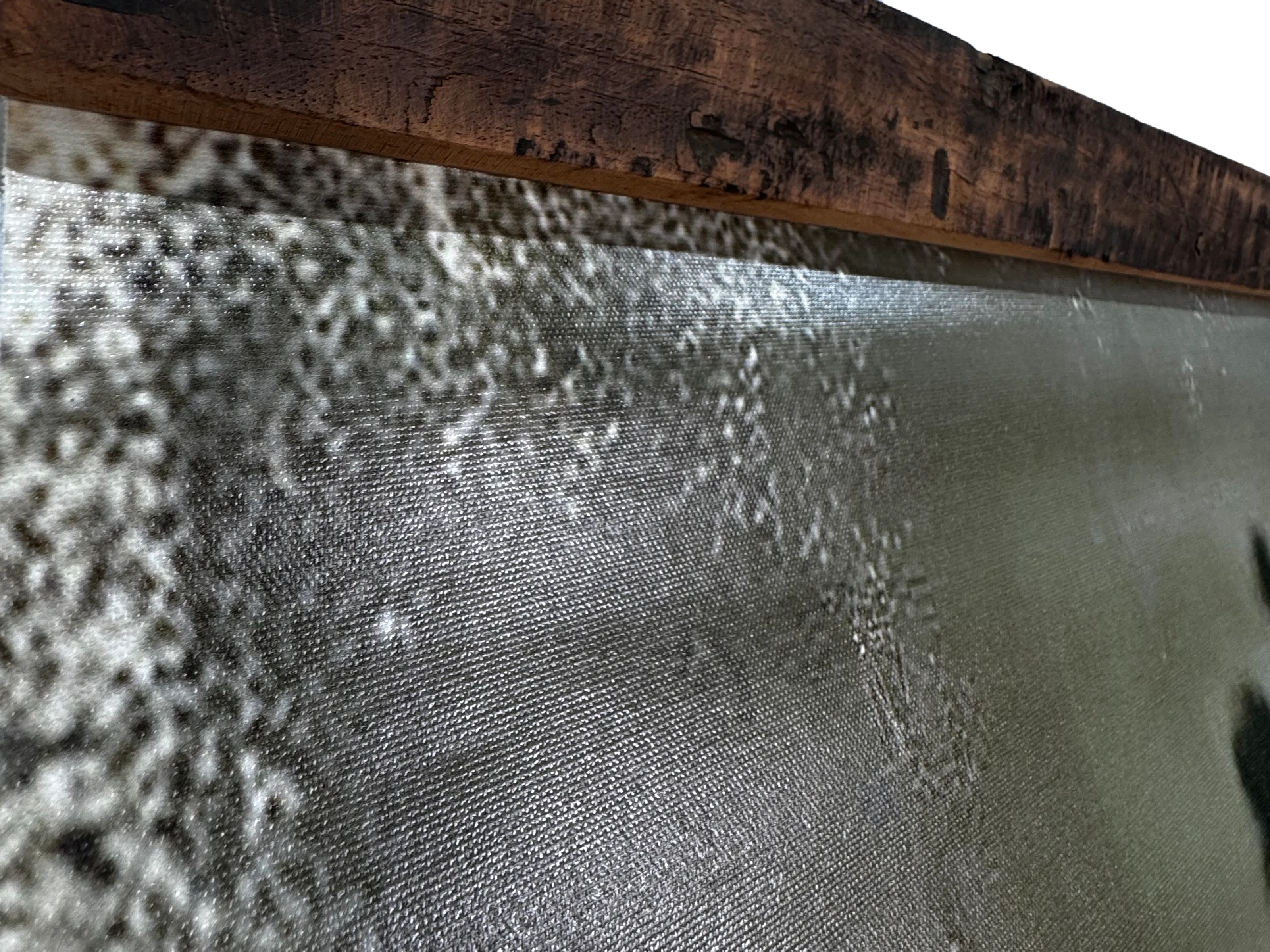 Canvas Wandbild „Silent Strength“ 90×150 cm – Detailansicht Holzkeilrahmen und feine Canvas-Stoffstruktur