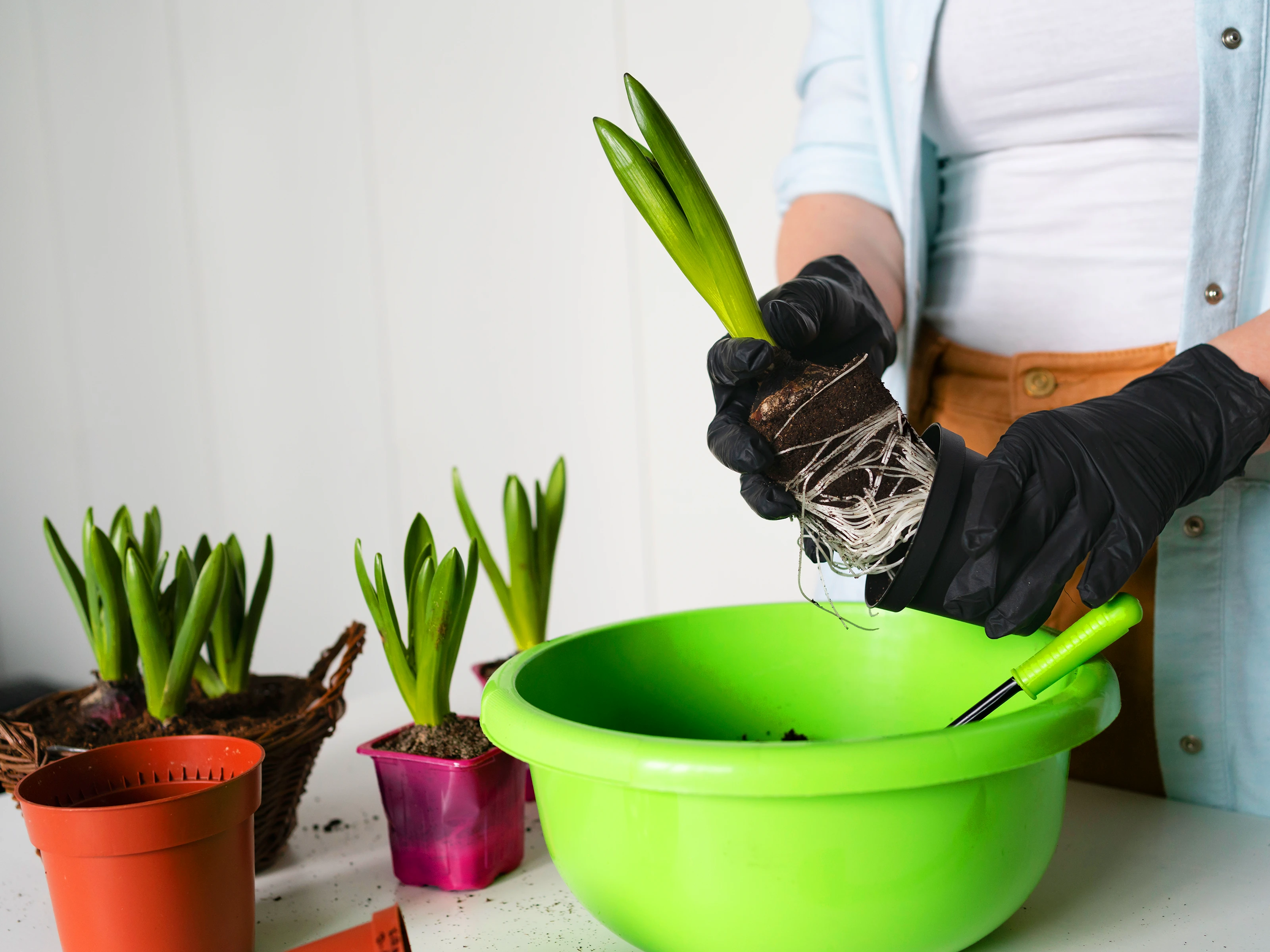 Osterdeko auf rustikalem Holztisch mit pastellfarbenen, handbemalten Eiern, Frühlingszweigen und natürlichem Ambiente