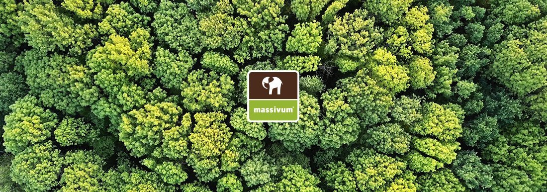 Banner mit Text "Nachhaltigkeit" vor warmer Holztextur und grünen Akzenten, nachhaltiges Massivholz‑Möbelmotiv (Woodkings)