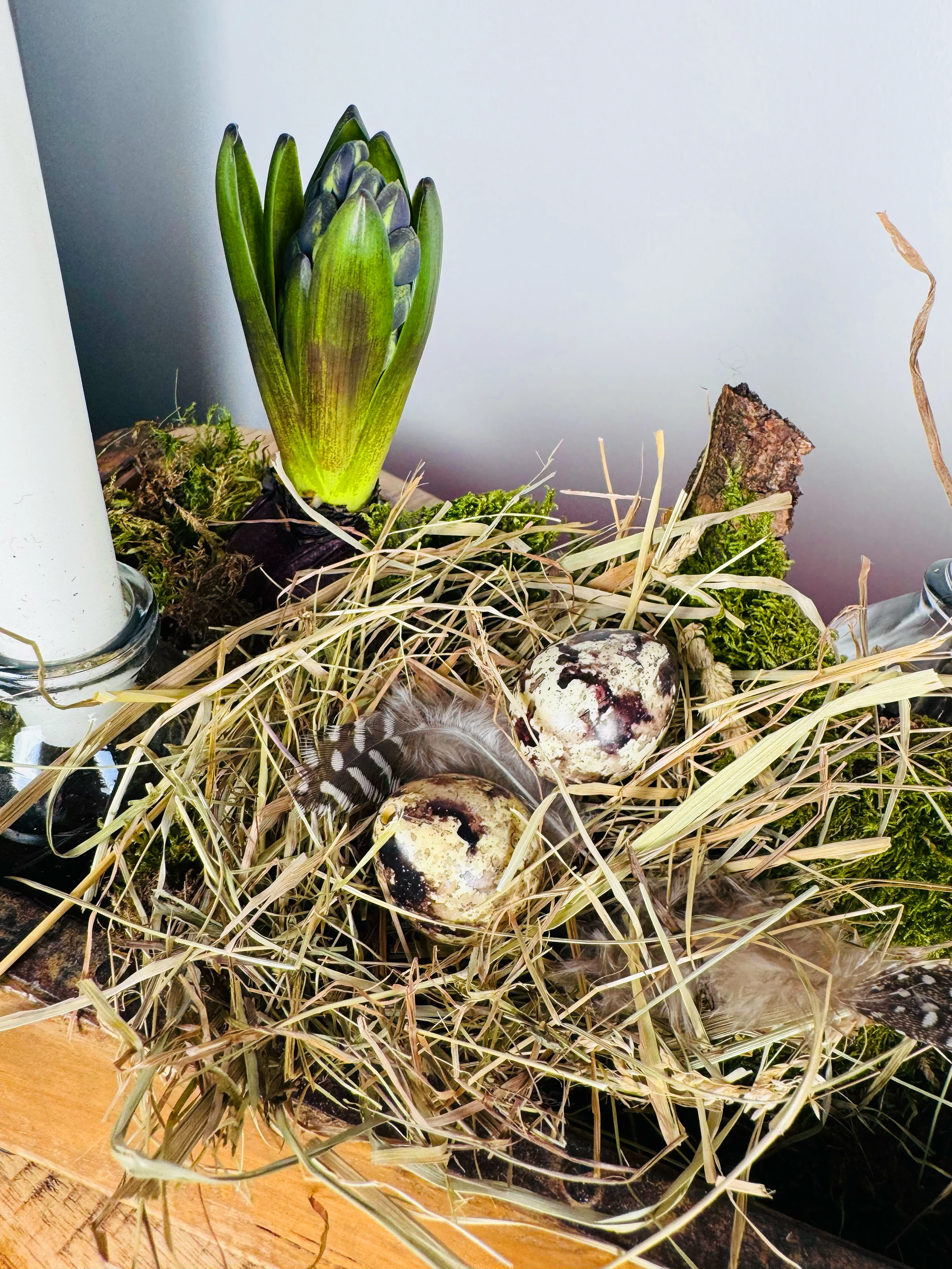 Rustikaler Ostertisch auf Holz mit pastellbemalten Eiern, Frühlingsgrün und natürlicher Osterdeko