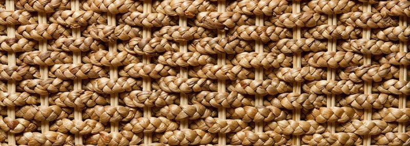 Holzarten für Möbel erkennen