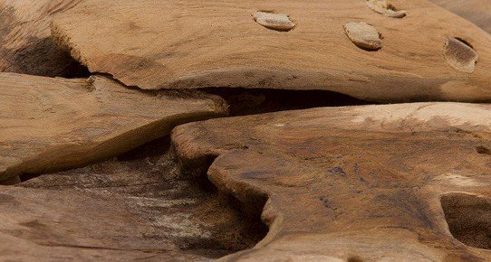 Unbehandelte Holzoberflächen: Übersicht mehrerer Holzproben mit sichtbarer Maserung und natürlichen Farbnuancen, angeordnet als Muster auf hellem Hintergrund