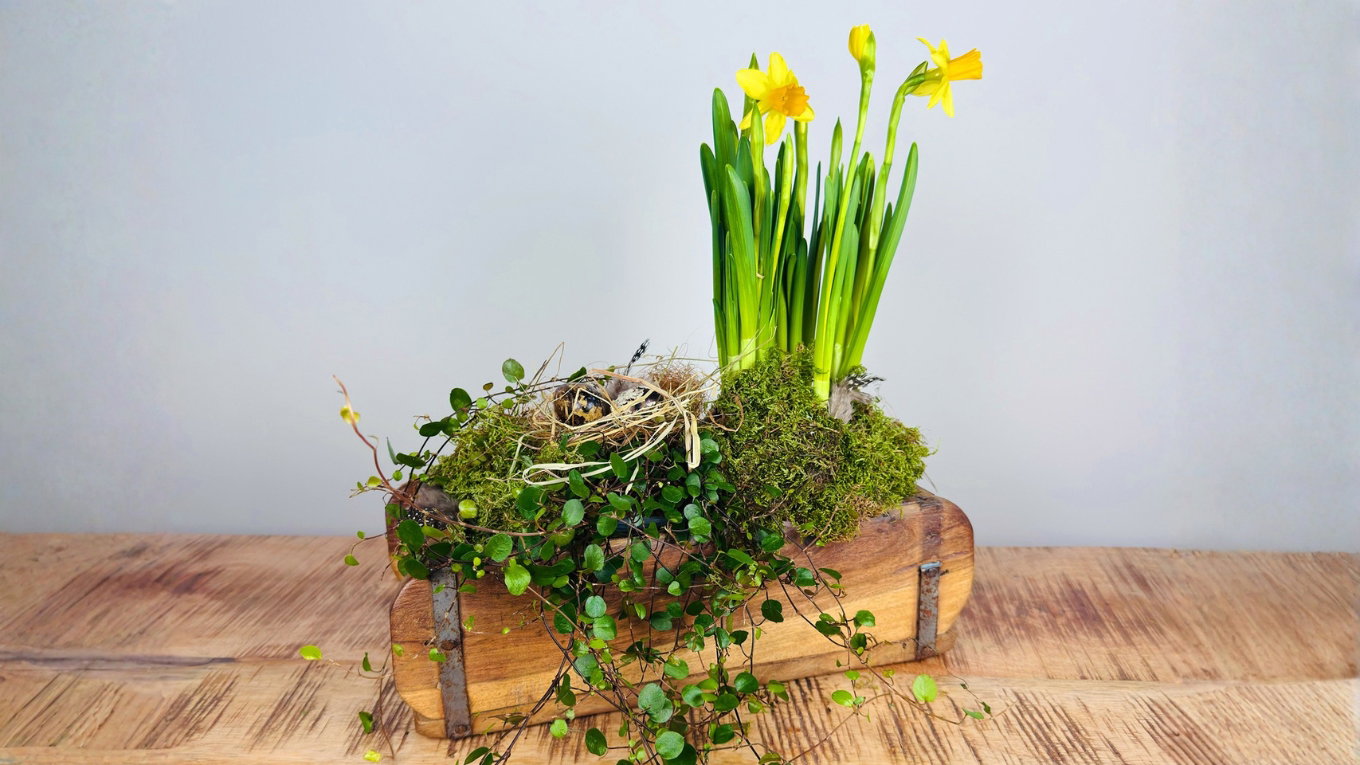 Frühlingsdeko in rustikaler Ziegelform mit Narzissen und Tulpen, natürliche Farben, stimmungsvolles Ambiente